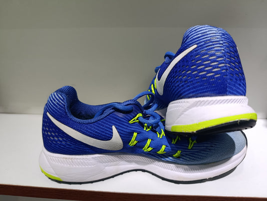 Nike Air Zoom Pegasus 33