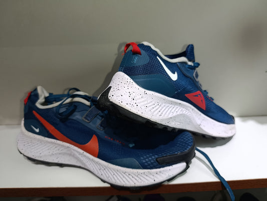 Nike Pegasus Trail 3 GORE-TEX